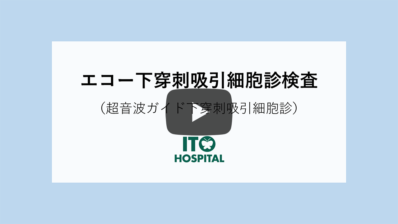 video image